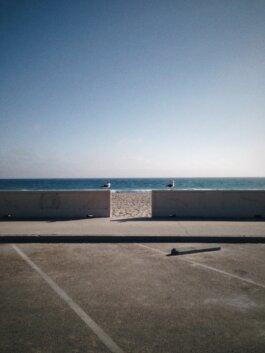 Roland Stuprich – Director of Photography