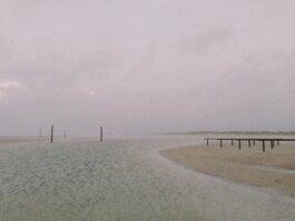 Roland Stuprich – Director of Photography