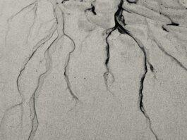 Roland Stuprich – Director of Photography