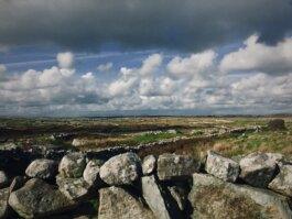 Roland Stuprich – Director of Photography