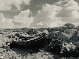 Roland Stuprich – Director of Photography