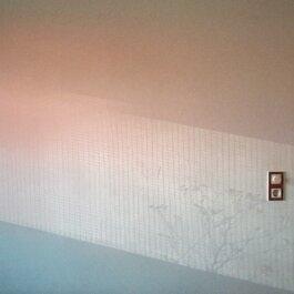 Roland Stuprich – Director of Photography