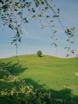 Roland Stuprich – Director of Photography