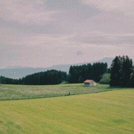 Roland Stuprich – Director of Photography