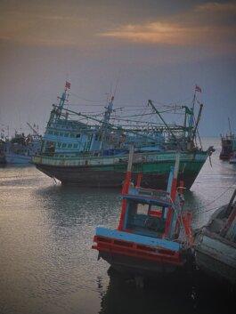 Roland Stuprich – Director of Photography