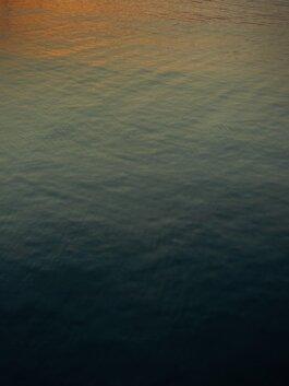 Roland Stuprich – Director of Photography