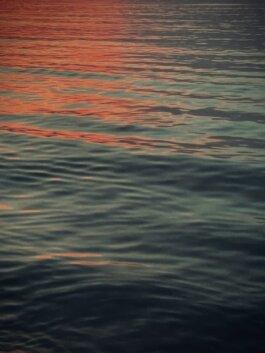 Roland Stuprich – Director of Photography