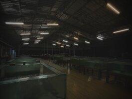 Roland Stuprich – Director of Photography