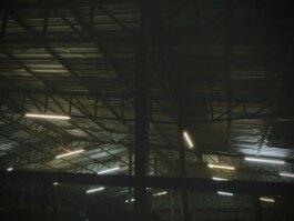 Roland Stuprich – Director of Photography