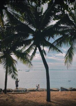 Roland Stuprich – Director of Photography