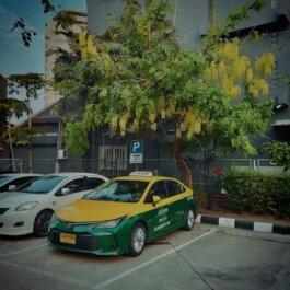 Roland Stuprich – Director of Photography