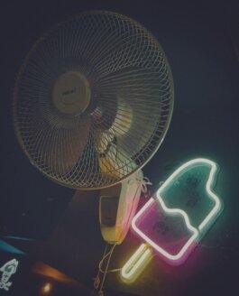 Roland Stuprich – Director of Photography