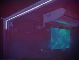 Roland Stuprich – Director of Photography