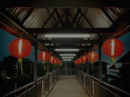 Roland Stuprich – Director of Photography