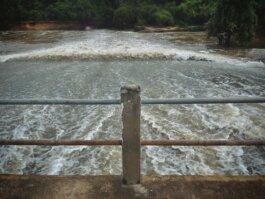 Roland Stuprich – Director of Photography