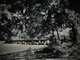 Roland Stuprich – Director of Photography