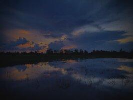 Roland Stuprich – Director of Photography