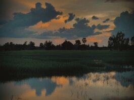 Roland Stuprich – Director of Photography