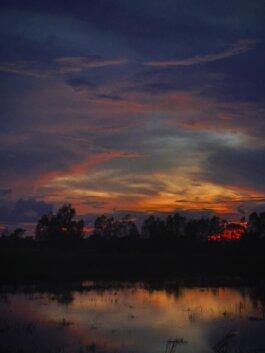 Roland Stuprich – Director of Photography