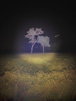 Roland Stuprich – Director of Photography