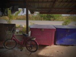 Roland Stuprich – Director of Photography