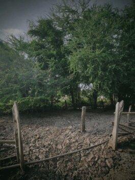 Roland Stuprich – Director of Photography