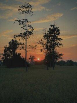 Roland Stuprich – Director of Photography