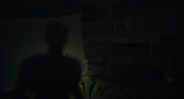 Roland Stuprich – Director of Photography