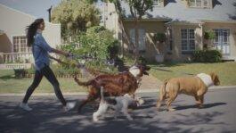 Roland Stuprich – Director of Photography