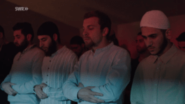 Roland Stuprich – Director of Photography