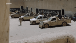 Roland Stuprich – Director of Photography