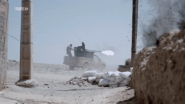 Roland Stuprich – Director of Photography