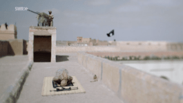 Roland Stuprich – Director of Photography