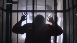 Roland Stuprich – Director of Photography