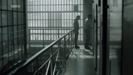 Roland Stuprich – Director of Photography