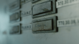 Roland Stuprich – Director of Photography