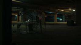 Roland Stuprich – Director of Photography