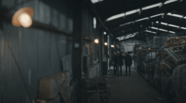 Roland Stuprich – Director of Photography