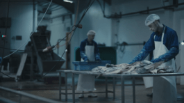 Roland Stuprich – Director of Photography