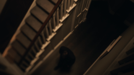 Roland Stuprich – Director of Photography