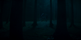 Roland Stuprich – Director of Photography