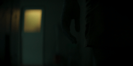 Roland Stuprich – Director of Photography