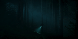 Roland Stuprich – Director of Photography