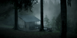 Roland Stuprich – Director of Photography