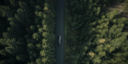 Roland Stuprich – Director of Photography