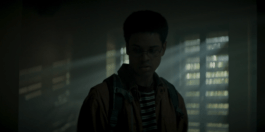 Roland Stuprich – Director of Photography